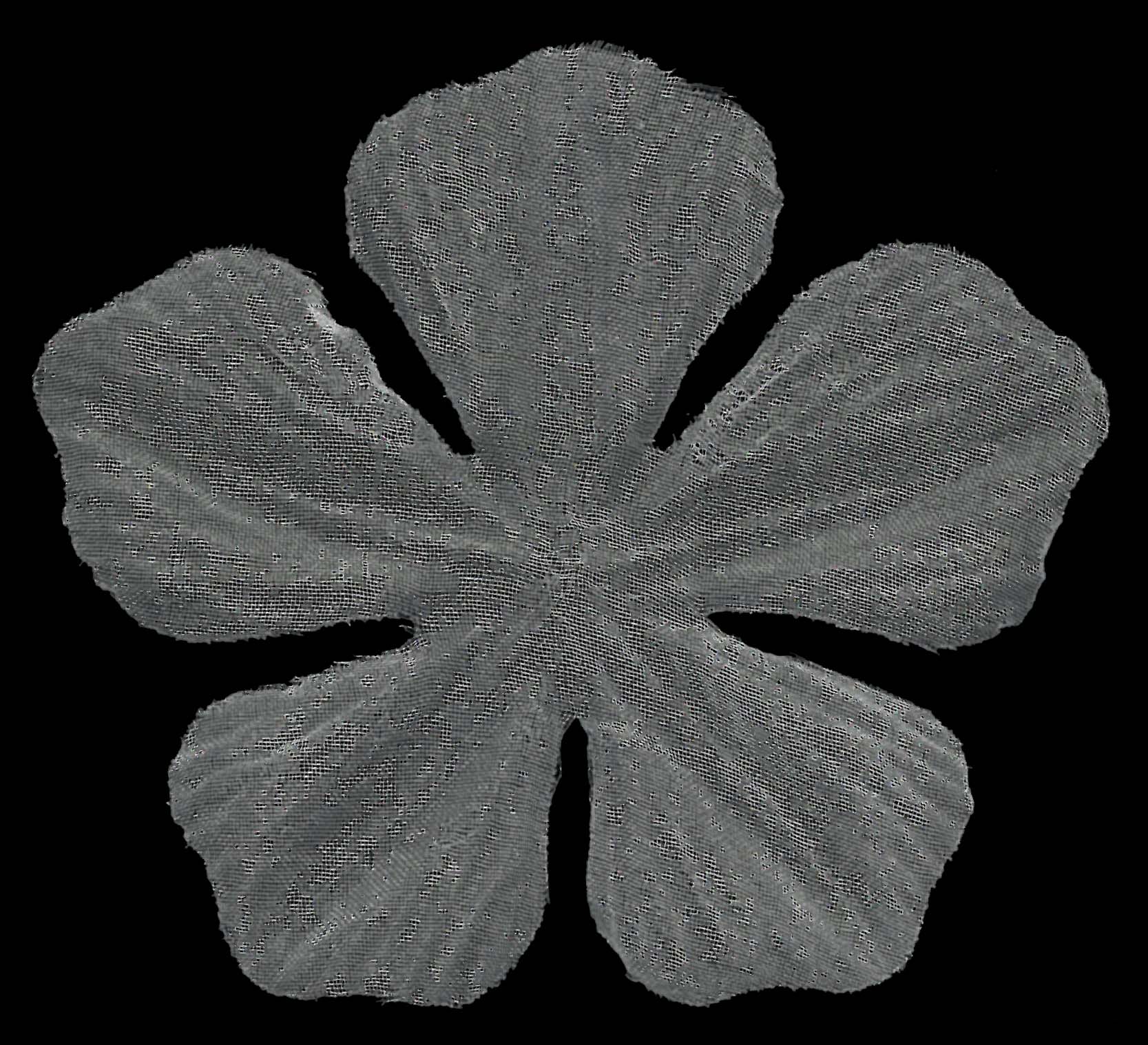 ORGANZA MINI MOTIF