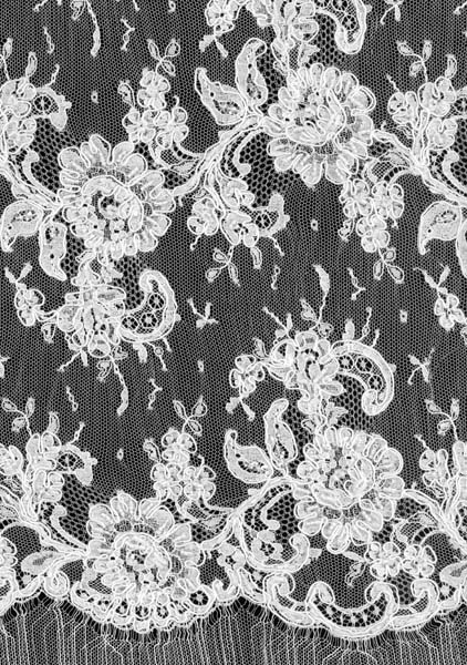 CORDED BEADED FRENCH LACE - IVORY